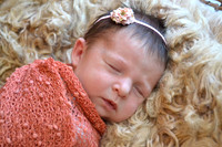 Marshall, newborn - 0815