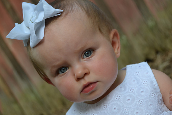 Nelson 138