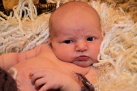 Proffitt - newborn