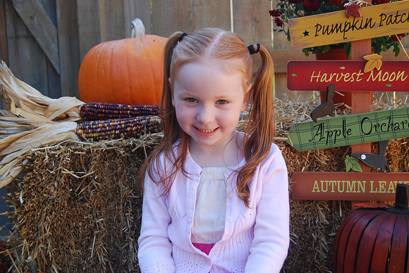 Halloween 781
