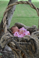 Casteel, Laurie - newborn - 0714