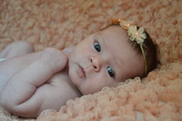 Bursi - family - 0614