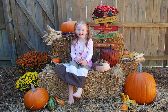 Halloween 782