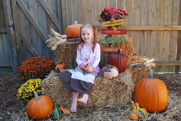 Halloween 784